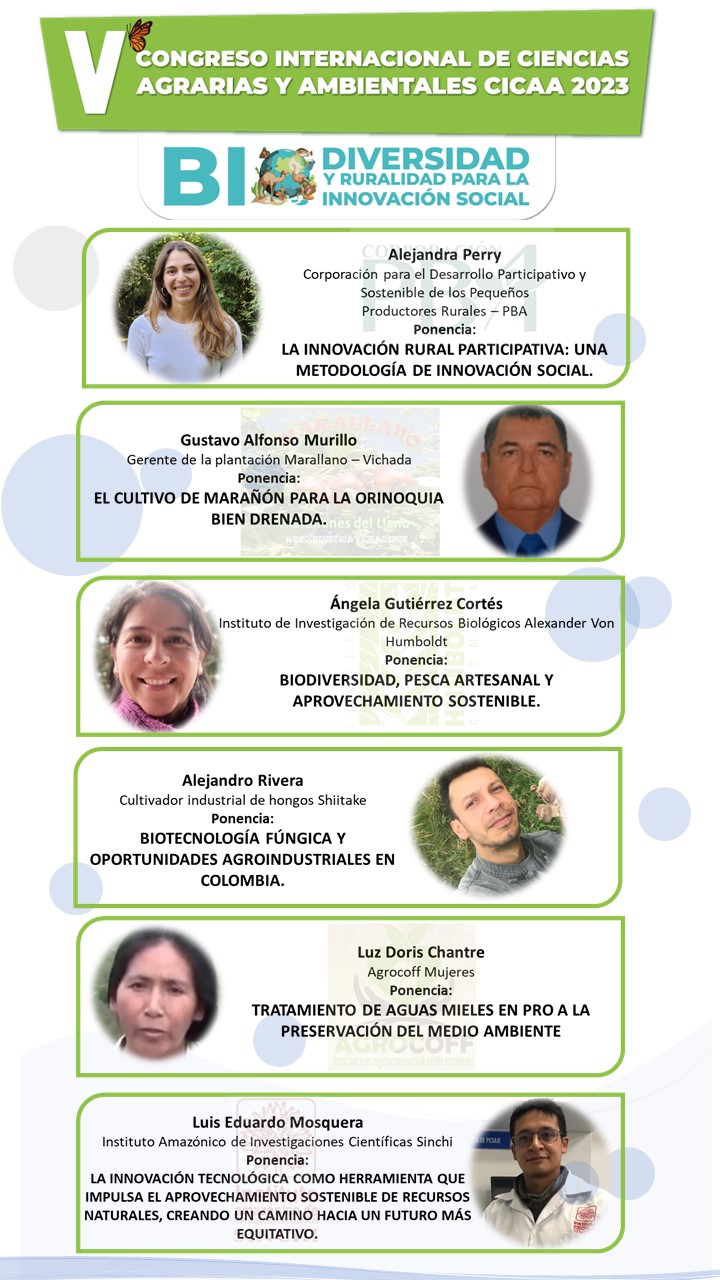 PublicidadMagistrales