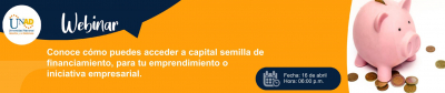 Conoce cómo puedes acceder a capital semilla de financiamiento para tu emprendimiento o iniciativa empresarial