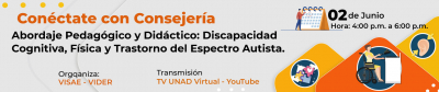 Conéctate con Consejería: Abordaje Pedagógico y Didáctico: Discapacidad Cognitiva, Discapacidad física y Trastorno del Espectro Autista