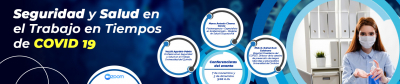 Seguridad y Salud en el Trabajo en Tiempos de COVID 19 - 07 Nov