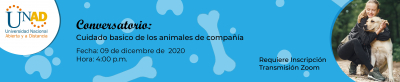 Cuidado básico de los animales de compañía 