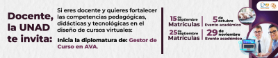 Diplomatura: Gestor de Curso en Ambientes Virtuales de Aprendizaje									