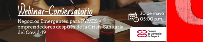 Negocios Emergentes para PYMES y emprendedores después de la Crisis Sanitaria del Covid 19
