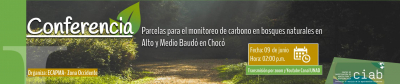 Conferencia: Parcelas para el monitoreo de carbono en bosques naturales en Alto y Medio Baudó en Chocó 