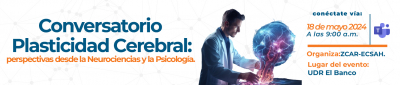 Conversatorio- Plasticidad Cerebral: perspectivas desde la Neurociencias y la Psicología