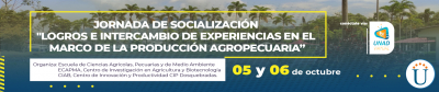 Jornada de Socialización 