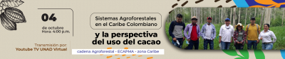 Sistemas agroforestales en el Caribe Colombiano y la perspectiva del uso del cacao	