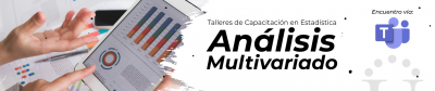 Lanzamiento consultorio estadístico: Investigación descriptiva